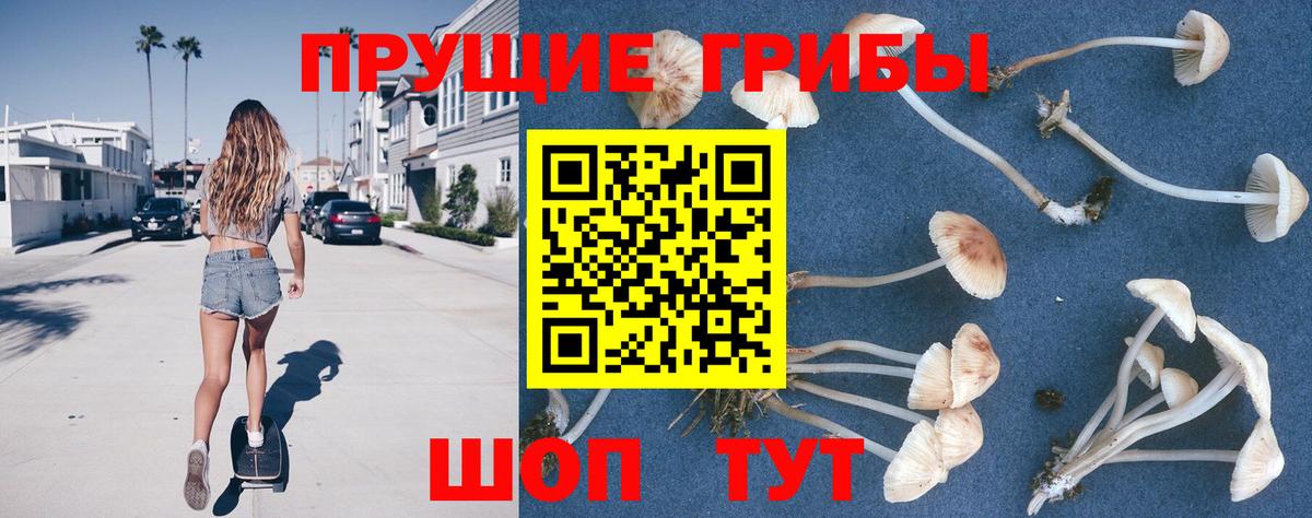 Сыктывкар  цены   Вход с VPN  Псилоцибиновые грибы ЛСД 